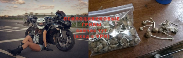 2c-b Богородск